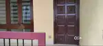 Cellar house for rent