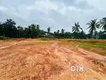 4.75 Acre Land - budoli,Mani ( Urgent sale!)