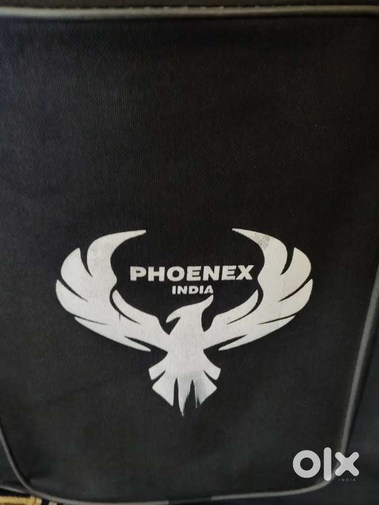 Phoenex acoustic