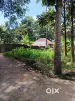 Eruthavoor plot for sale
