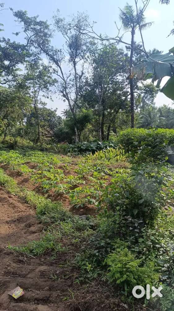 Prime land for sale near NH Madurai at Nellimattum