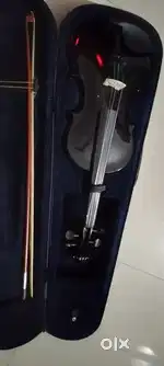 Brand New Violin
