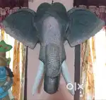 Elephant Head - Concrete