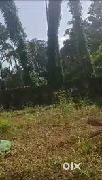 Eroor land for lease