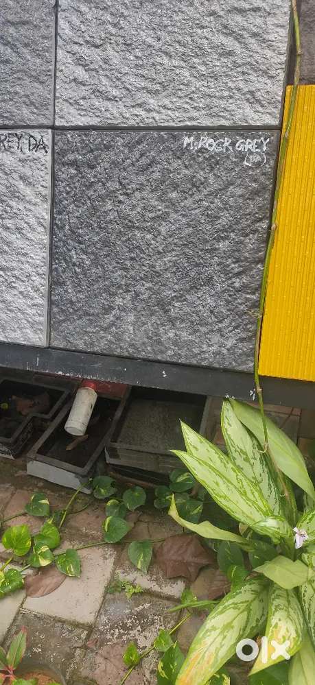 Driver from Muvattupuzha or Perumbavoor