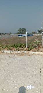 33.33 SQ.YD COMMERICAL PLOT FOR SALE IN SECTOR 117 TDI CITY MOHALI