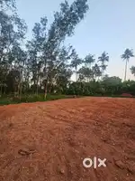 SPACIOUS LAND FOR SALE IN KAKKANAD INFOPARK PALLIKKARA KIZHAKAMBALAM