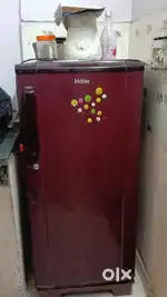 Fridge single door