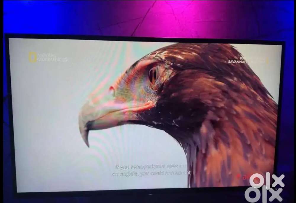 Sony Bravia TV 43 inch