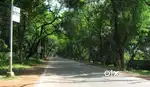Vip road air port  k pas 5000 sqft plot for sale