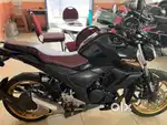 Fzs v3 2022
