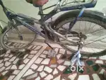 HERCULES CYCLE