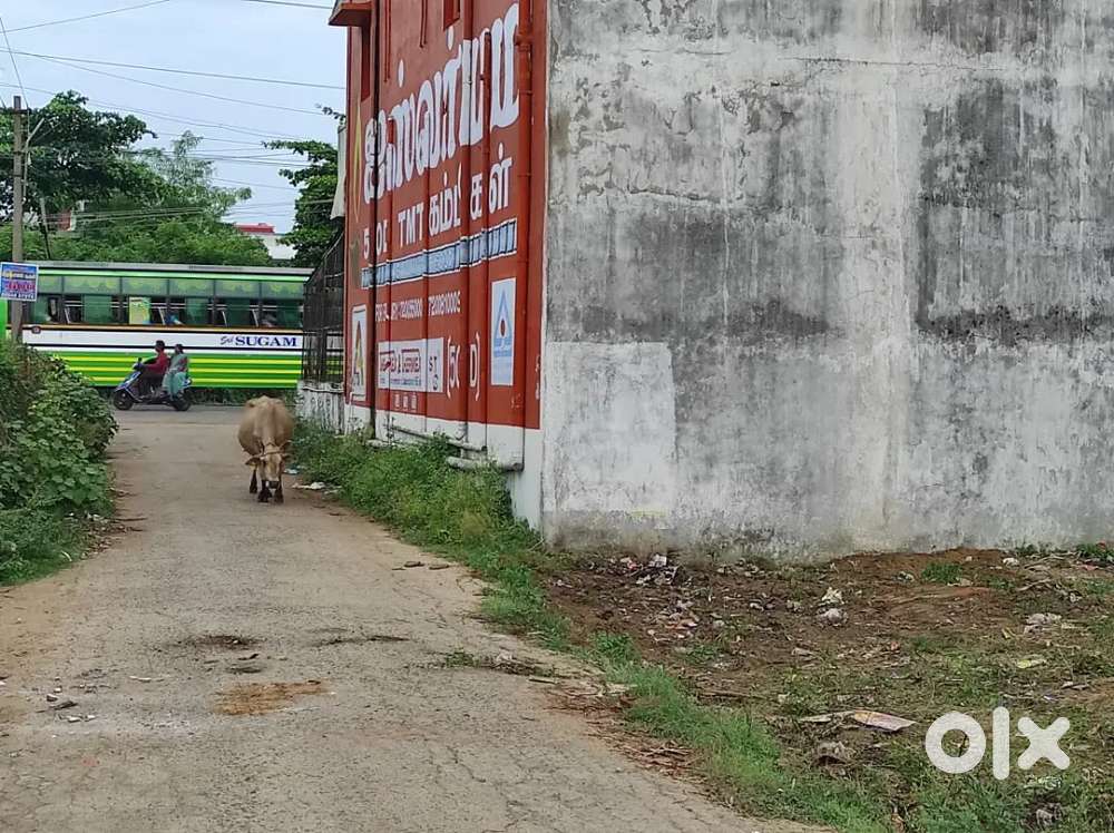 PLOT FOR SALES IN PANRUTI MUNICIPALITY