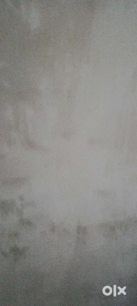 Single female room