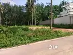 House plot for sale (9 cent)