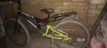 Oyster ka cycle