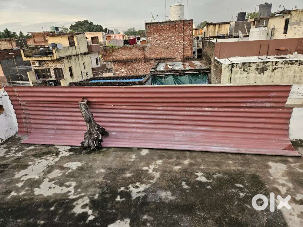 Iron Roof sheets