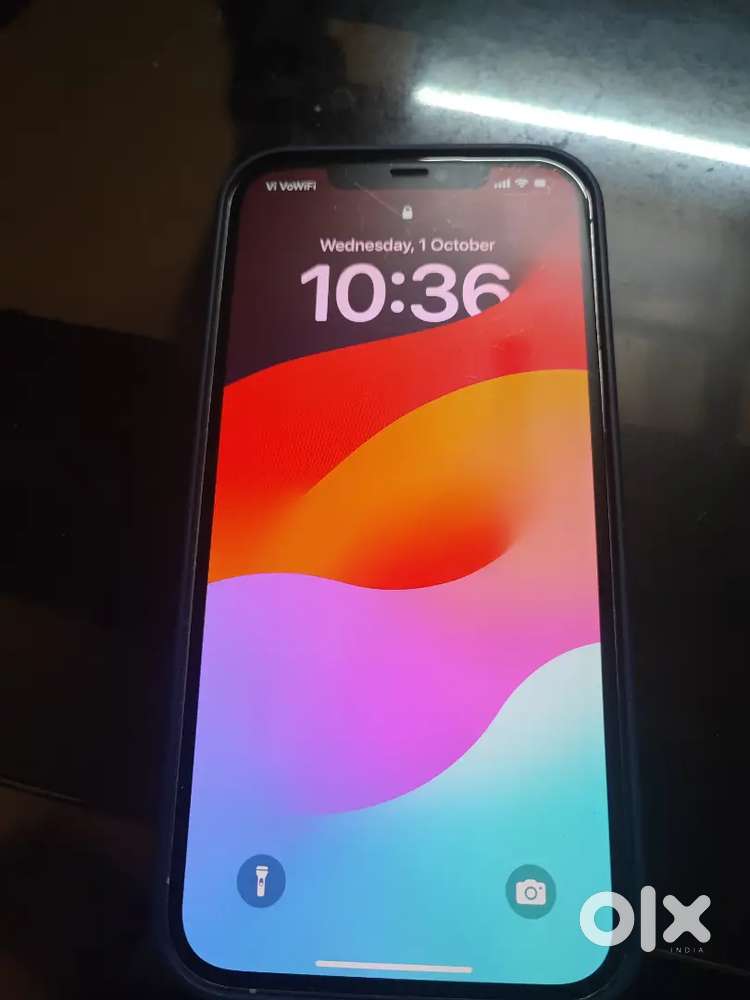 12 Max Pro