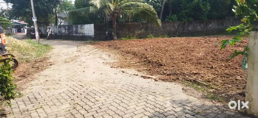 10.5 Land for sale padamughal kakkanad