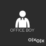 Looking for office boy - Immediate Hiring