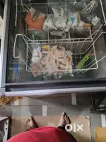 Ice cream fridge