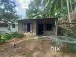 5 cent plot with a house having 2 bedroom, kitchen,hall,smallsitout