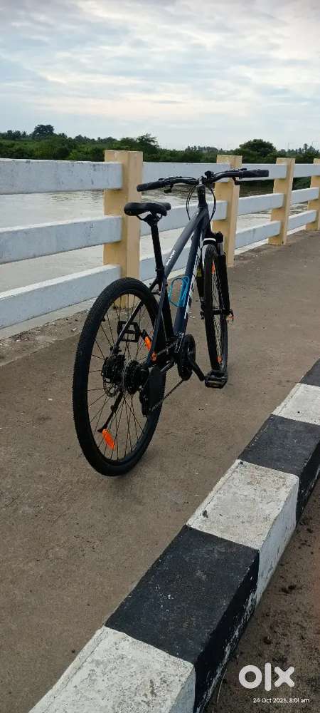Trek  dual sport 1
