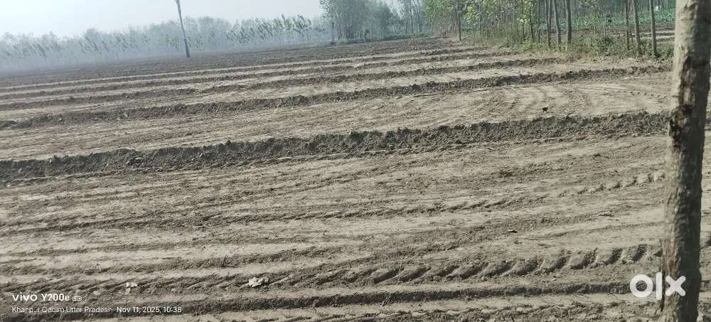 7 बीघा खेत बिकाऊ है , बहुत ही अच्छा खेत है