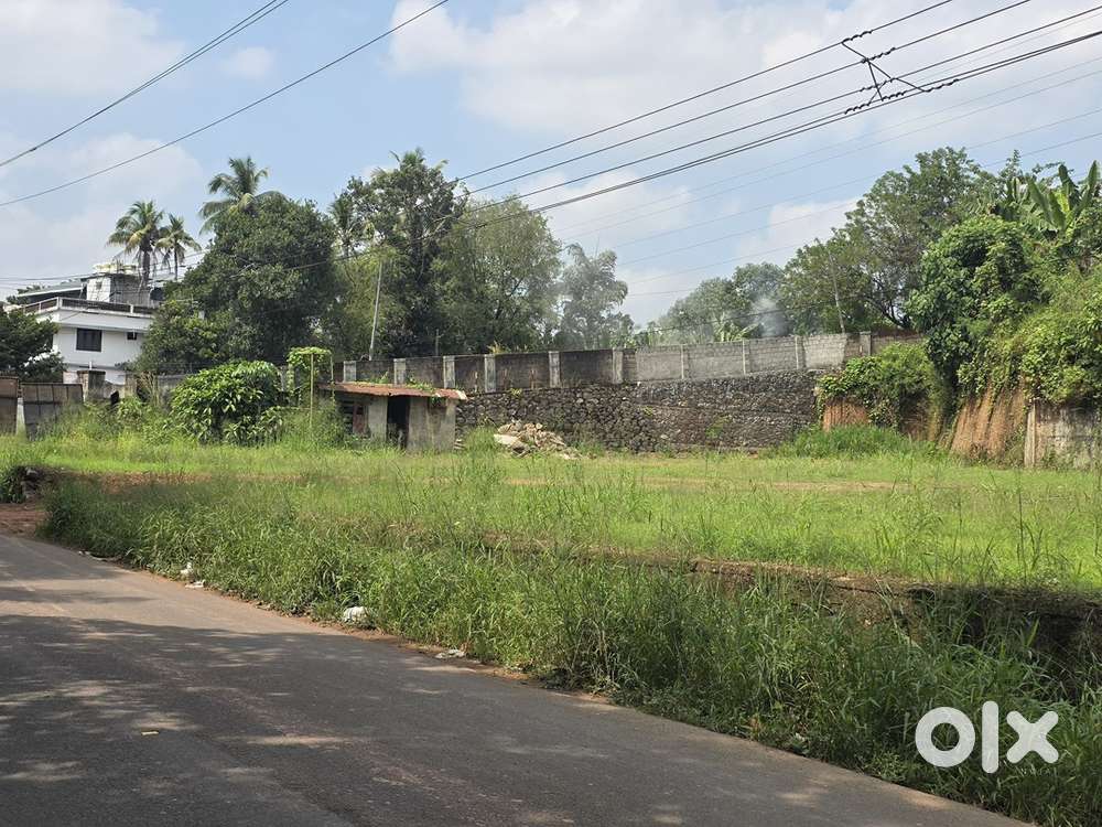 Prime roadside land near Kuzhivelippady, 42 cents with 10-cent option