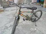 Polo Forego cycle