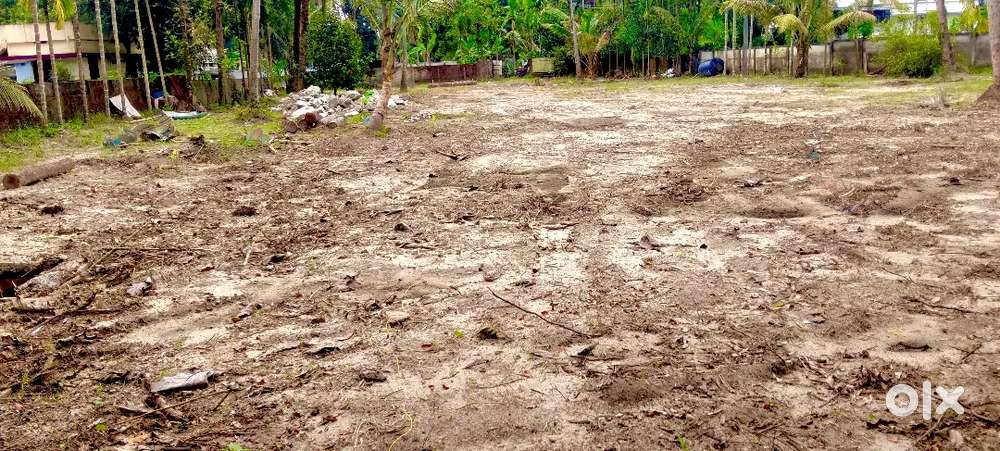 VARAPUZHA puthanpalli 3,4 cent