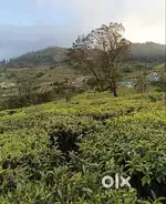 Want to buy agriculture land in Bharuch