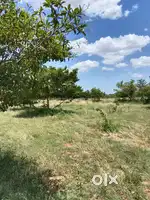 Low budget lands in trichy