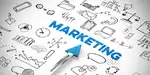 Marketing Officer