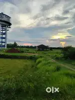 23 sotok Chas jomi rajhat bhatua nolbona