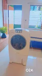 My coy cooler 6 month old