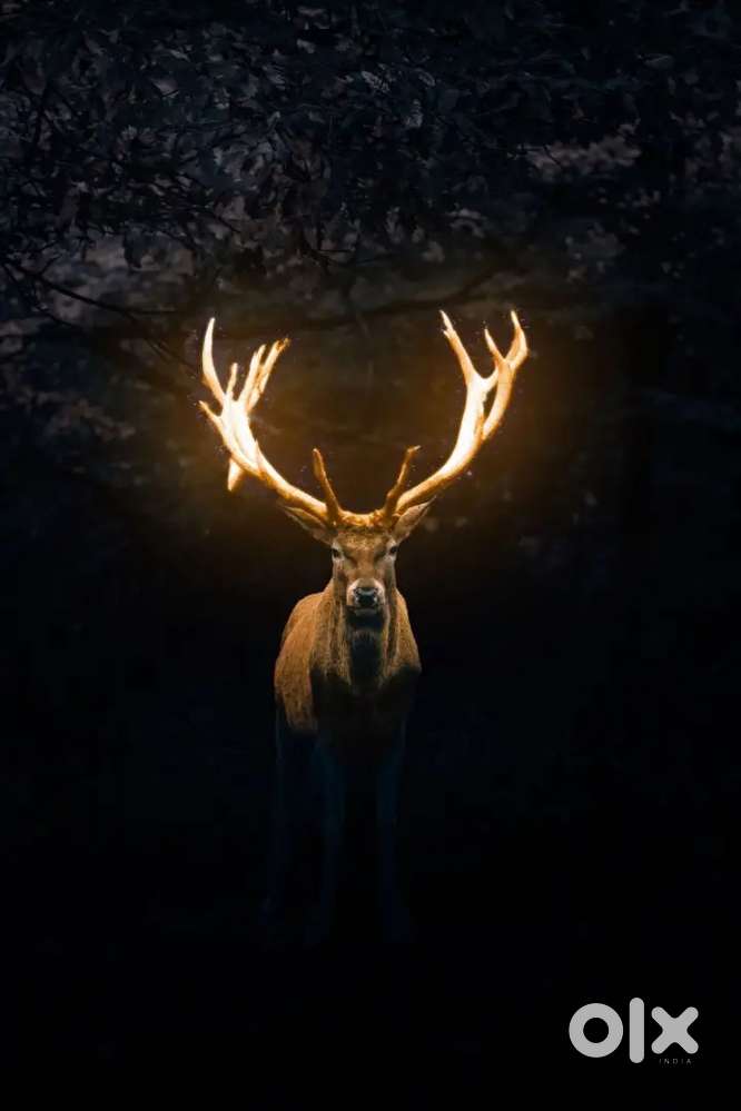 Allen solly Capitol mall