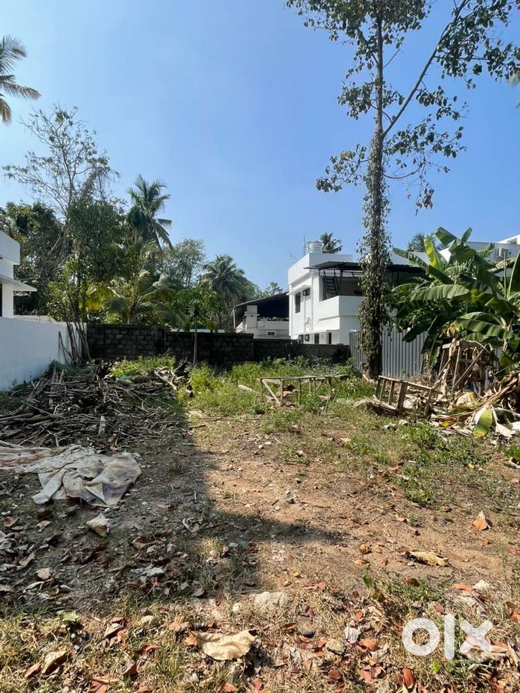 5 cent plot near bypass