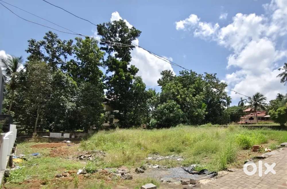 മനോഹരമായ വീട് വക്കാൻ അനുയോജ്യമായ  primehouse plot close to main road