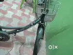 Ladybird bicycle