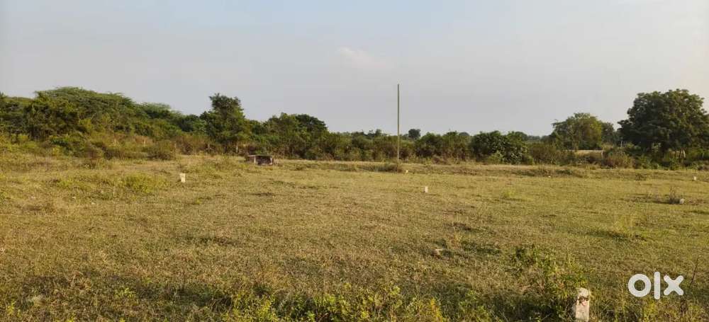 One Plot 240sq Yards. 10,000 Per 1sq Yards