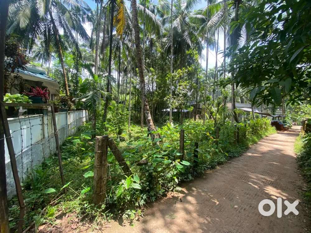 moolad, thalapoyil plot 1 acre for sale