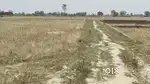 Residential plots in Bauri (Niyamatabad Block) se 2 km ke distance par