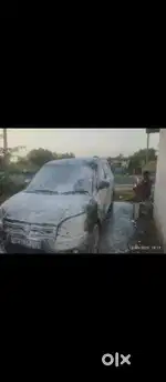 Need worker