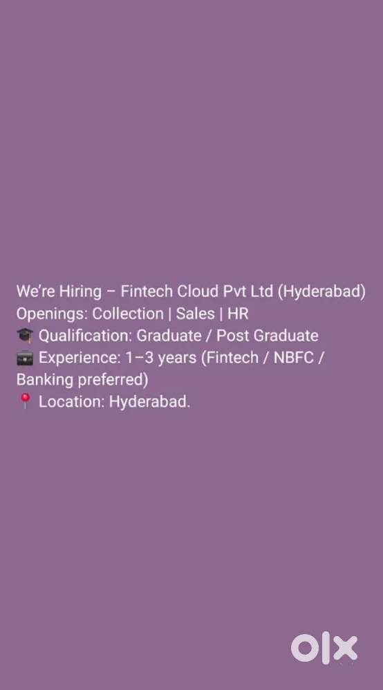 Collection Executive