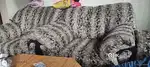 3+2 sofa selling