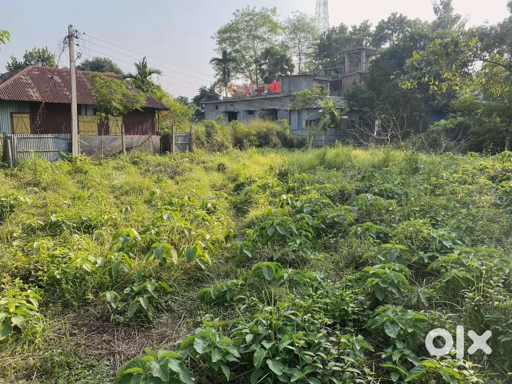 Residential Plot for Sale – Prime Location Near Brahmbari Bus Stand, U