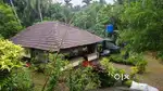 60 cent of plot with a house