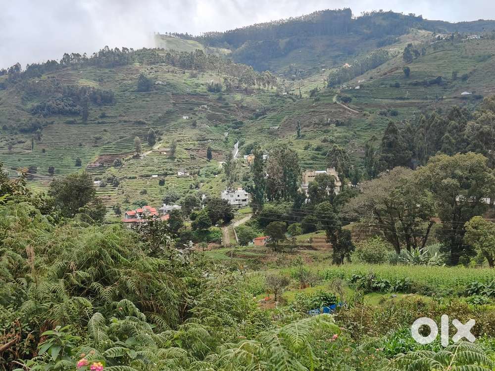 35 cents Land for sale in attuvampatti with good valley views