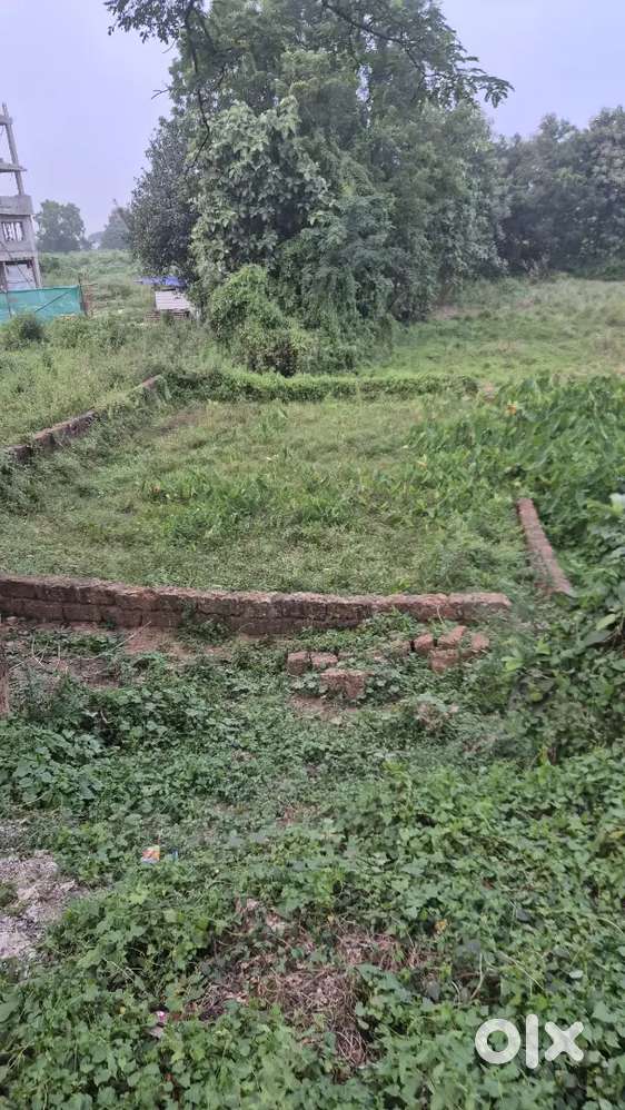 I sale my own plot